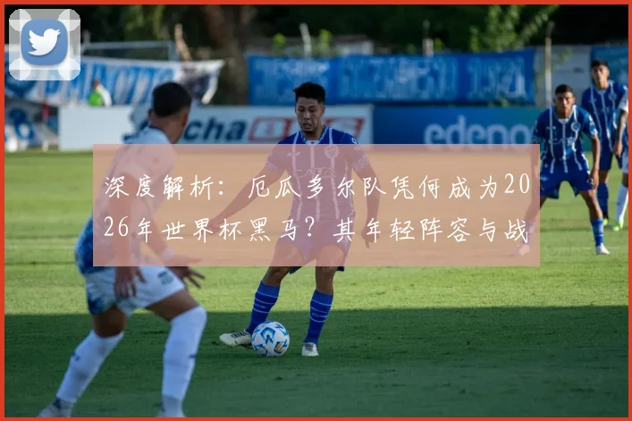 深度解析：厄瓜多尔队凭何成为2026年世界杯黑马？其年轻阵容与战术体系揭秘